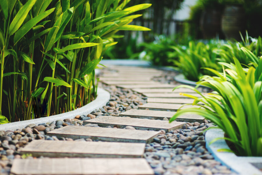 Alley in tropical garden
